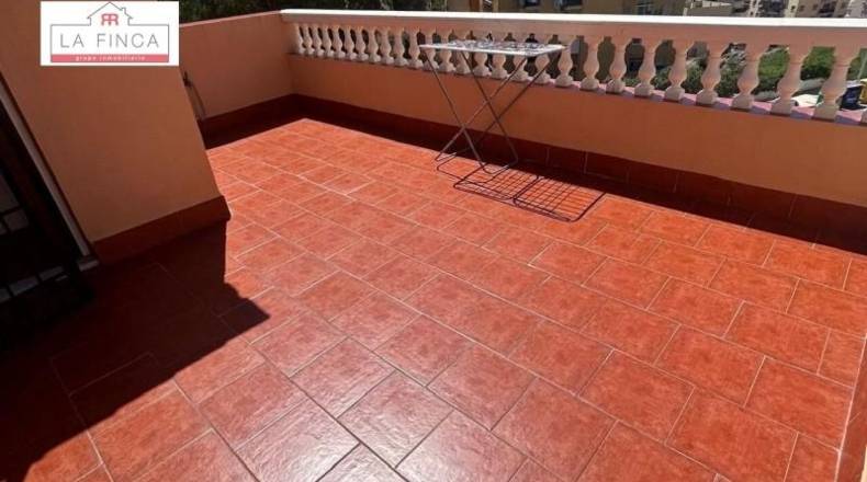 Málaga - Málaga - 339m2
