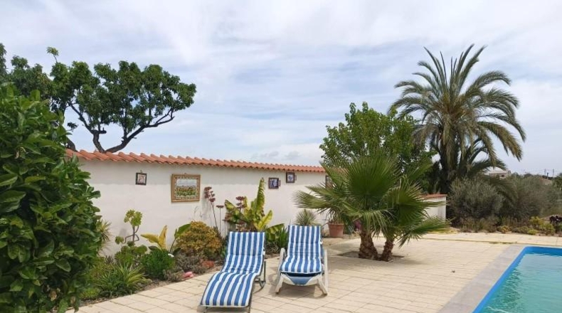 Alicante - Elche - 13451m2