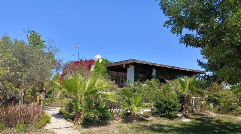 Alicante - Elche - 13451m2