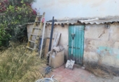 Casa amb terreny en venda a la España, Palma, ref.: TR303798 foto