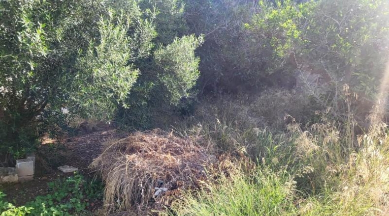 Balearic Islands - Palma - 617m2