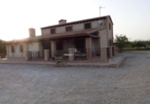 Terreno no urbanizable en venta en la España, Elche, ref: TR178246 foto