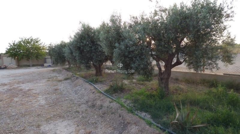 Alicante - Elx - 11477m2