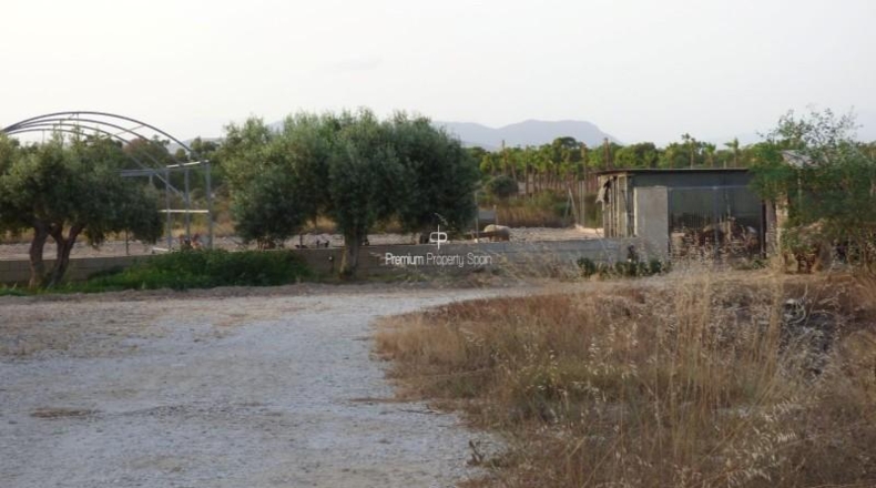 Alicante - Elx - 11477m2