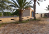 Terreno no urbanizable en venta en la España, Elche, ref: TR178246 foto