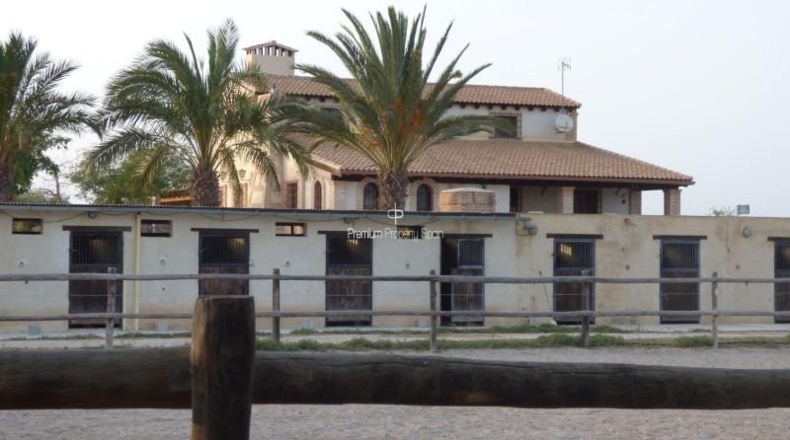 Alicante - Elx - 11477m2