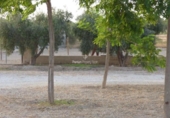 Terreno no urbanizable en venta en la España, Elche, ref: TR178246 foto