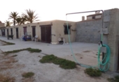 Terreno no urbanizable en venta en la España, Elche, ref: TR178246 foto