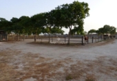 Terreno no urbanizable en venta en la España, Elche, ref: TR178246 foto