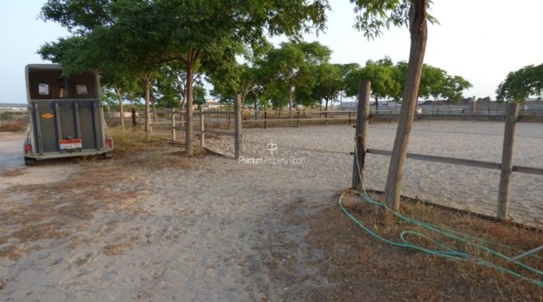 Alicante - Elx - 11477m2