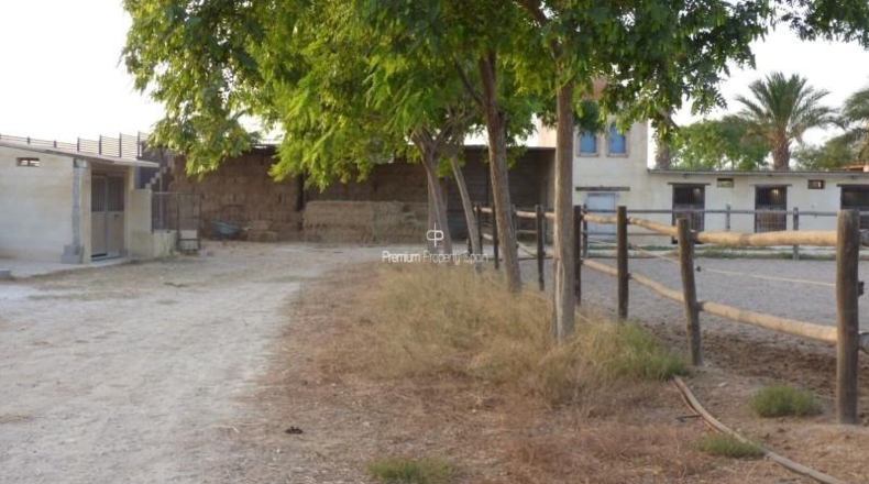 Alicante - Elx - 11477m2