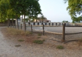 Terreno no urbanizable en venta en la España, Elche, ref: TR178246 foto