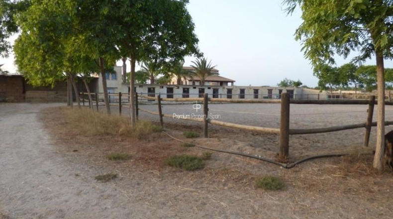 Alicante - Elx - 11477m2