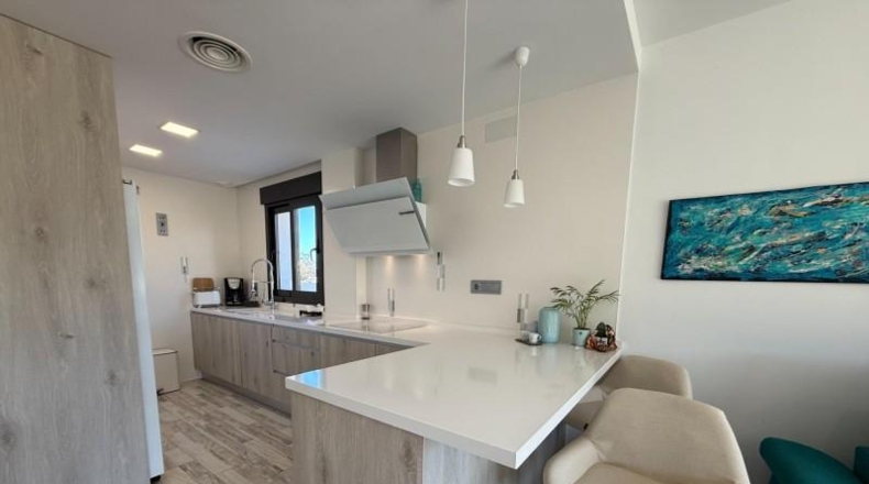 Alicante - Monforte del Cid - 222m2