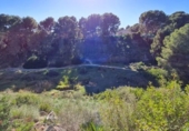 Xalet independent amb terreny en venda a la España, el Pilar de la Foradada, ref.: TR140397 foto