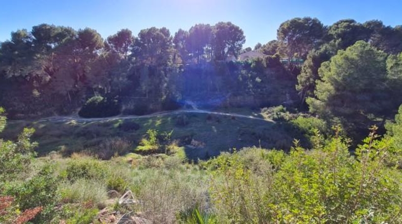 Alicante - Pilar de la Horadada - 690m2