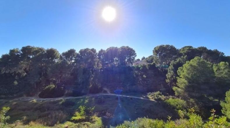 Alicante - Pilar de la Horadada - 690m2