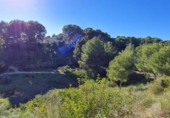 Xalet independent amb terreny en venda a la España, el Pilar de la Foradada, ref.: TR140397 foto