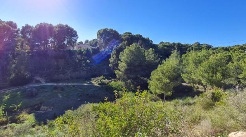 Alicante - Pilar de la Horadada - 690m2
