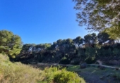 Xalet independent amb terreny en venda a la España, el Pilar de la Foradada, ref.: TR140397 foto