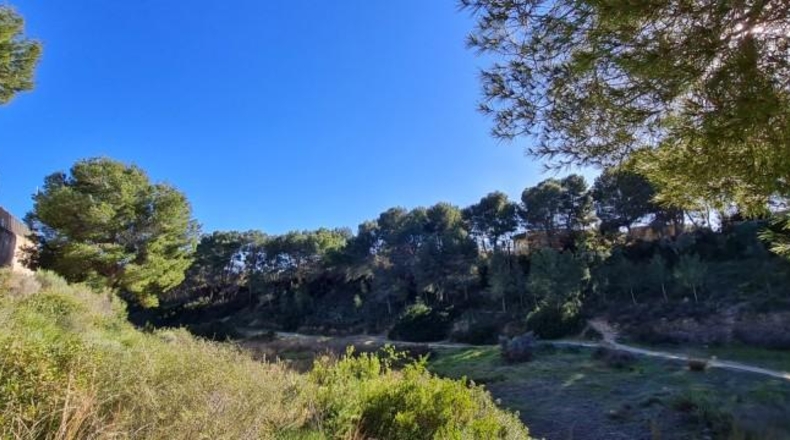 Alicante - Pilar de la Horadada - 690m2