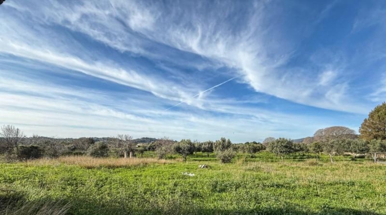 Balearic Islands - Selva - 15300m2