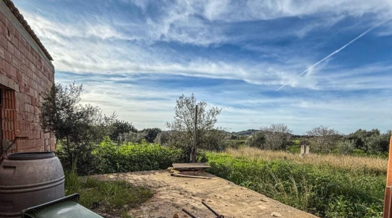 Balearic Islands - Selva - 15300m2