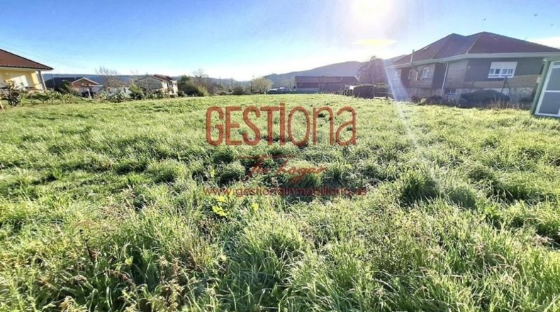 Cantabria - Torrelavega - 1288m2
