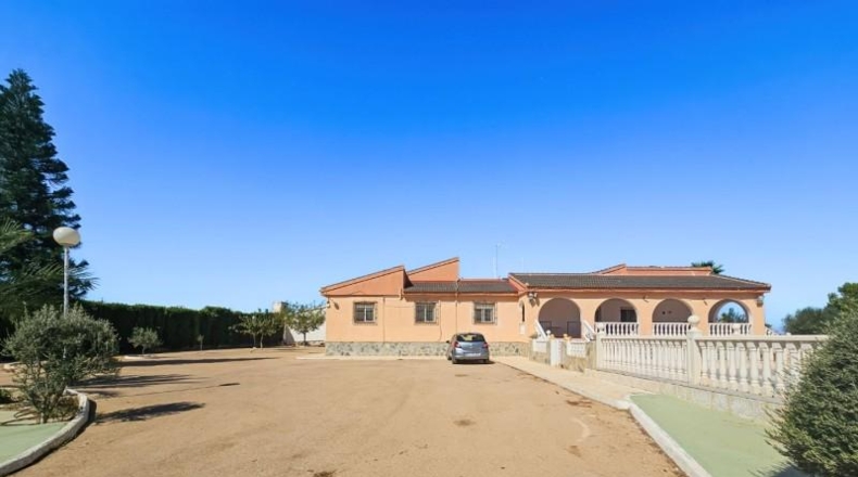 Alicante - Algorfa - 10450m2