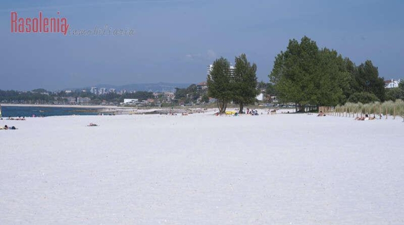 Pontevedra - Vigo - 700m2