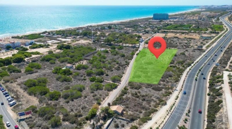 Alicante - Guardamar del Segura - 7556m2