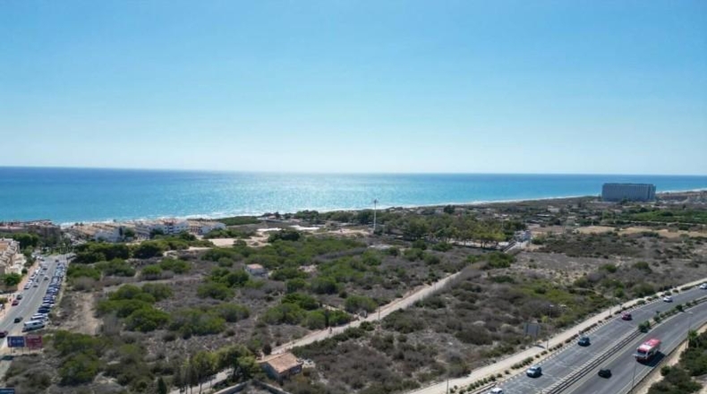 Alicante - Guardamar del Segura - 7556m2