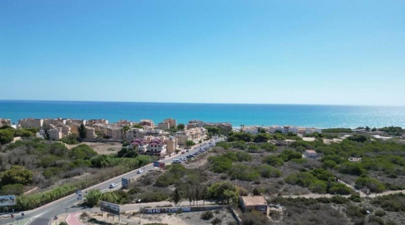 Alicante - Guardamar del Segura - 7556m2