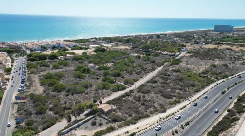 Alicante - Guardamar del Segura - 7556m2