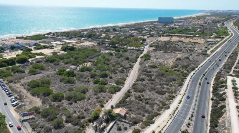 Alicante - Guardamar del Segura - 7556m2
