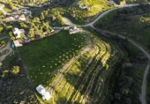 Parcela urbanizable en venta en la España, Campo-Mijas, ref: TR219526 foto