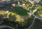 Parcela urbanizable en venta en la España, Campo-Mijas, ref: TR219526 foto