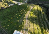 Parcela urbanizable en venta en la España, Campo-Mijas, ref: TR219526 foto