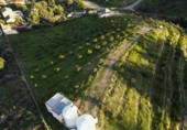 Parcela urbanizable en venta en la España, Campo-Mijas, ref: TR219526 foto