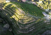 Parcela urbanizable en venta en la España, Campo-Mijas, ref: TR219526 foto