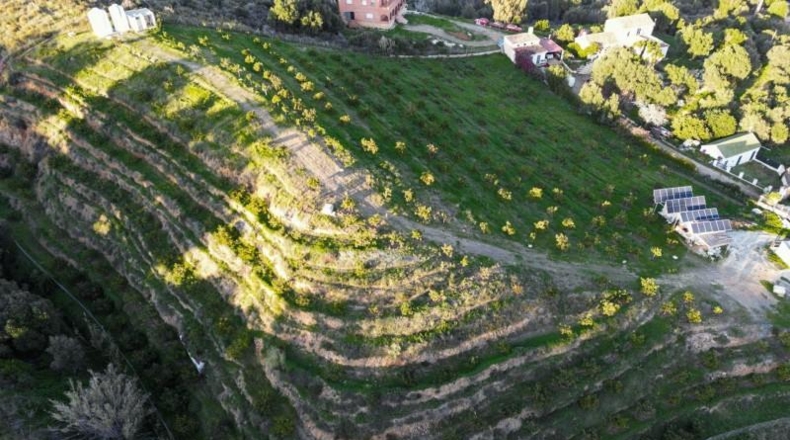 Malaga - Mijas - 10924m2