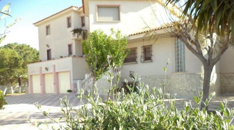 Alicante - Muchamiel - 5000m2
