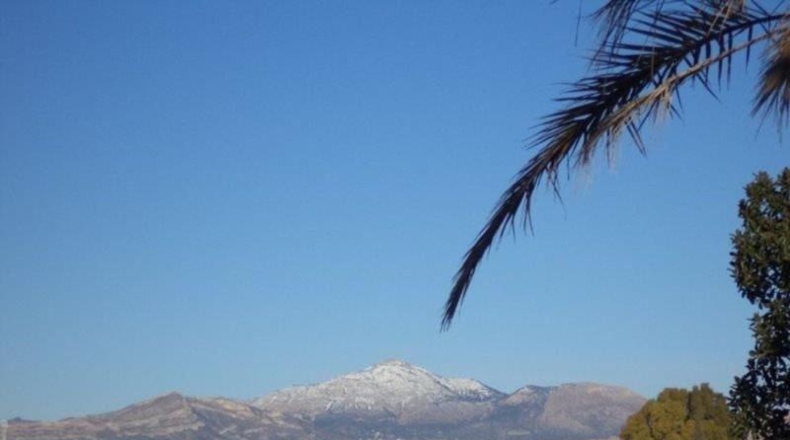 Alicante - Muchamiel - 5000m2