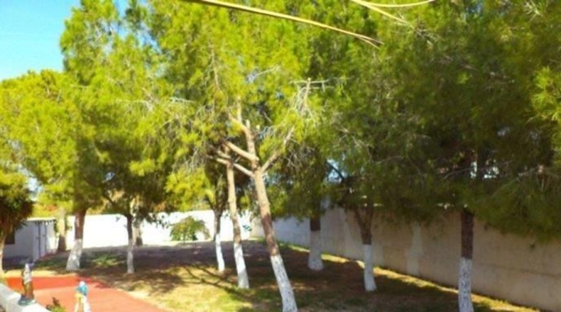 Alicante - Muchamiel - 5000m2
