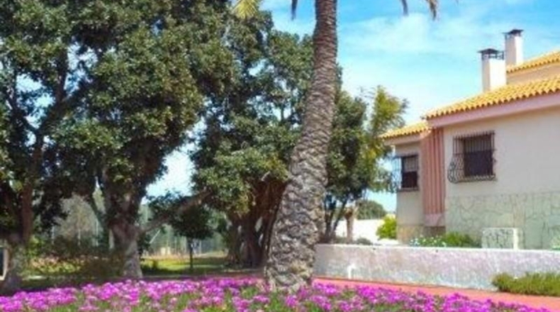 Alicante - Muchamiel - 5000m2