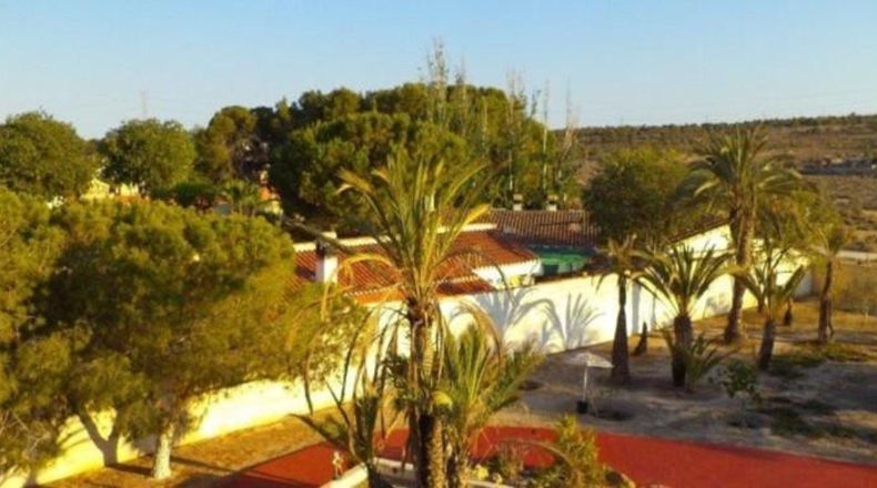 Alicante - Muchamiel - 5000m2