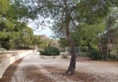 Casa de campo con terreno en venta en la España, El Campello, ref: TR367874 foto