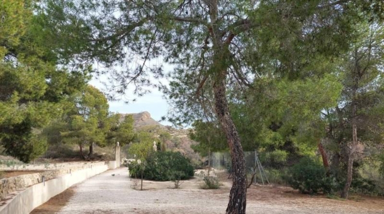 Alicante - Кампельо - 75000m2
