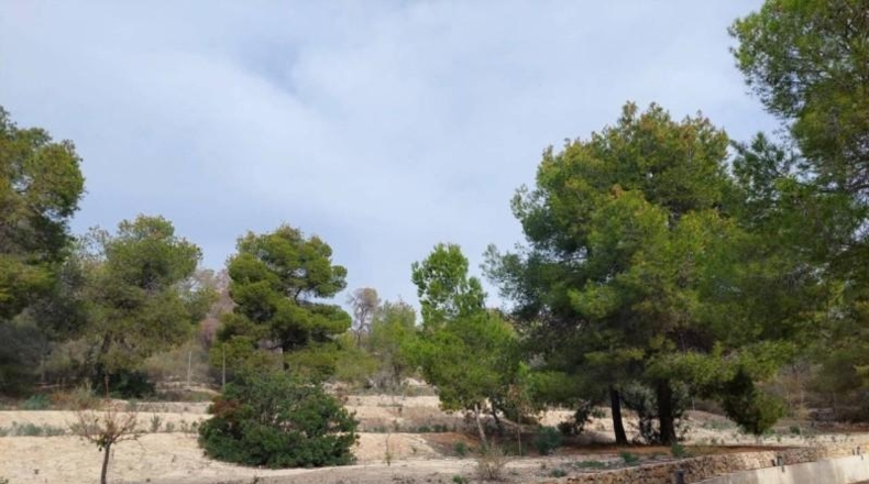 Alicante - Кампельо - 75000m2
