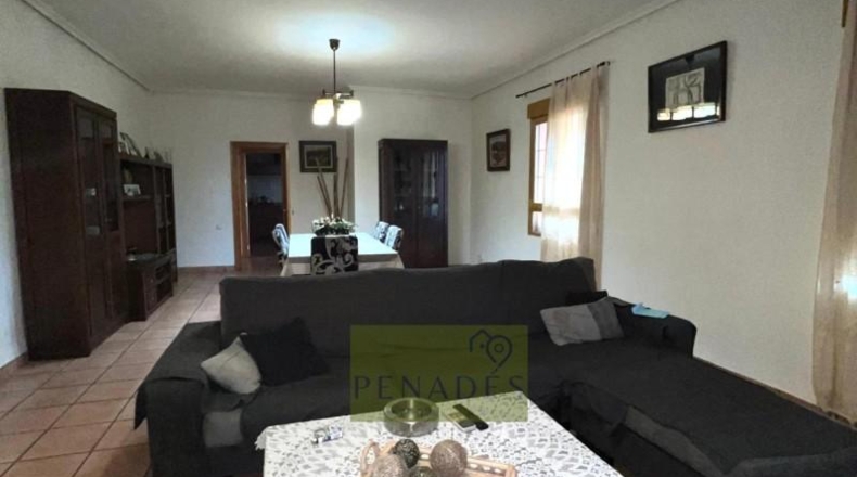 Valencia - Onteniente - 308m2